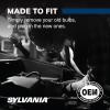 imageSYLVANIA  DE3175 SilverStar Mini Bulb Contains 2 Bulbs