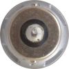 imageSYLVANIA  1157 LED White Mini Bulb  Bright LED Bulb Ideal for Daytime Running Lights DRL and BackUpReverse Lights Contains 2 BulbsRed