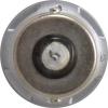 imageSYLVANIA  1157 LED White Mini Bulb  Bright LED Bulb Ideal for Daytime Running Lights DRL and BackUpReverse Lights Contains 2 BulbsRed