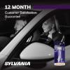imageSYLVANIA  H1 XtraVision  High Performance Halogen Headlight Bulb High Beam Low Beam and Fog Replacement Bulb Contains 2 Bulbs